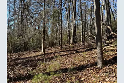 Lot 25 (A and B) Rockbrook Overlook, Brevard, NC 28712 - Photo 6