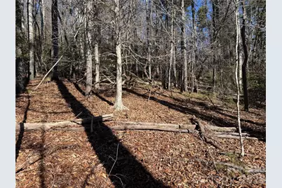 Lot 25 (A and B) Rockbrook Overlook, Brevard, NC 28712 - Photo 10