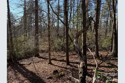 Lot 25 (A and B) Rockbrook Overlook, Brevard, NC 28712 - Photo 8