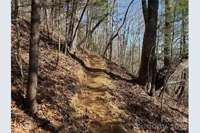 33 High Point Trail, Brevard, NC 28712 - Photo 4