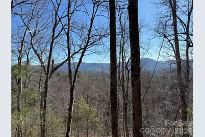 33 High Point Trail, Brevard, NC 28712 - Photo 2