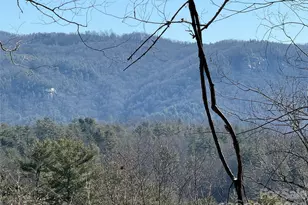 33 High Pt Trl, Brevard, NC 28712 - Photo 1