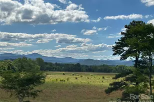 383 Ridgeview Hill Dr, Hendersonville, NC 28791 - Photo 2