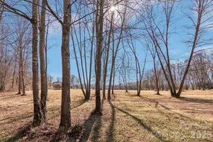 383 Ridgeview Hill Dr, Hendersonville, NC 28791 - Photo 44