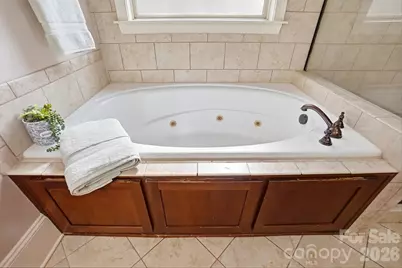 160 Arrow Point Lane, Davidson, NC 28036 - Photo 34