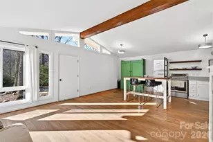 107 High St, Black Mountain, NC 28711 - Photo 8