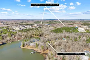 294 Carroll Cove, Clover, SC 29710 - Photo 28