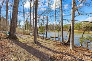 294 Carroll Cove, Clover, SC 29710 - Photo 46