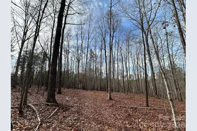 33 Ac Lot A Countryside Drive, Blackstock, SC 29014 - Photo 14