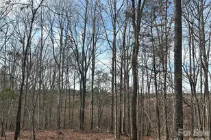 33 Ac Lot A Countryside Dr, Blackstock, SC 29014 - Photo 1