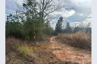 33 Ac Lot A Countryside Drive, Blackstock, SC 29014 - Photo 2