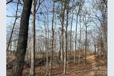 33 Ac Lot A Countryside Drive, Blackstock, SC 29014 - Photo 26