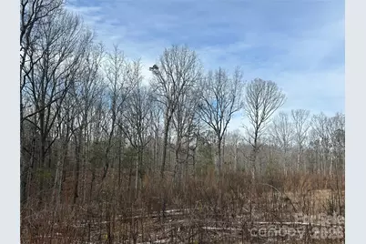 33 Ac Lot A Countryside Drive, Blackstock, SC 29014 - Photo 18