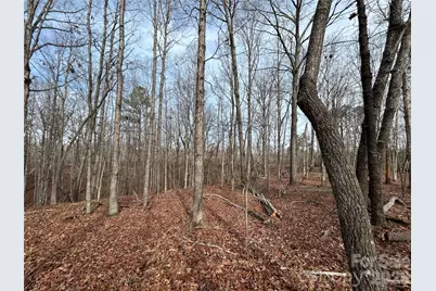 33 Ac Lot A Countryside Drive, Blackstock, SC 29014 - Photo 16