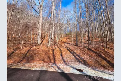 455 Mountain Watch Drive #16, Waynesville, NC 28785 - Photo 1