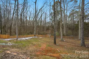 4086 Canvas Ave, Rock Hill, SC 29732 - Photo 42