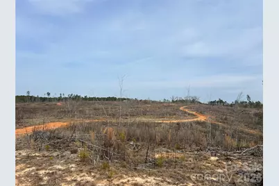 33 Ac Lot B Countryside Drive, Blackstock, SC 29014 - Photo 24