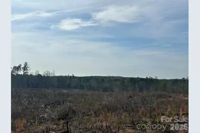 33 Ac Lot B Countryside Drive, Blackstock, SC 29014 - Photo 12