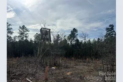 33 Ac Lot B Countryside Drive, Blackstock, SC 29014 - Photo 22