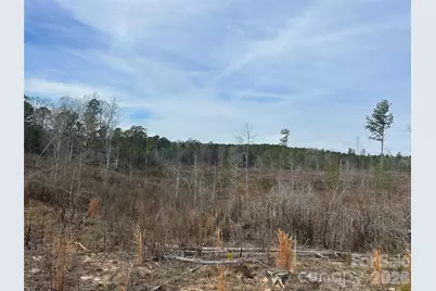 33 Ac Lot B Countryside Drive, Blackstock, SC 29014 - Photo 26