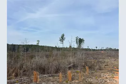 33 Ac Lot C Countryside Drive, Blackstock, SC 29014 - Photo 22