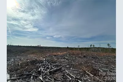 33 Ac Lot C Countryside Drive, Blackstock, SC 29014 - Photo 8