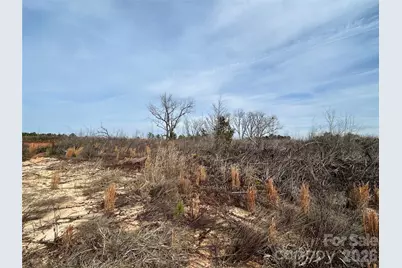 33 Ac Lot C Countryside Drive, Blackstock, SC 29014 - Photo 14