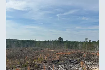 33 Ac Lot C Countryside Drive, Blackstock, SC 29014 - Photo 12