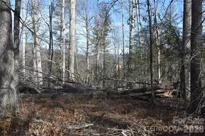 448 Sweetwater Road, Green Mountain, NC 28740 - Photo 26