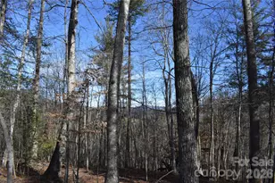 448 Sweetwater Rd, Green Mountain, NC 28740 - Photo 32