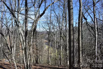 448 Sweetwater Road, Green Mountain, NC 28740 - Photo 38