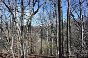 448 Sweetwater Rd, Green Mountain, NC 28740 - Photo 38