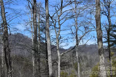 448 Sweetwater Road, Green Mountain, NC 28740 - Photo 30