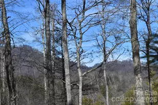 448 Sweetwater Rd, Green Mountain, NC 28740 - Photo 30