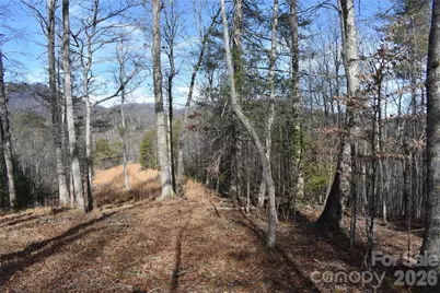 448 Sweetwater Road, Green Mountain, NC 28740 - Photo 34