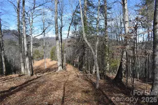 448 Sweetwater Rd, Green Mountain, NC 28740 - Photo 34