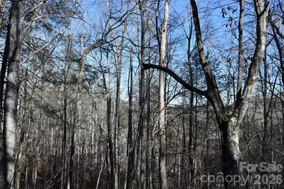 448 Sweetwater Road, Green Mountain, NC 28740 - Photo 14