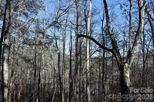 448 Sweetwater Rd, Green Mountain, NC 28740 - Photo 14