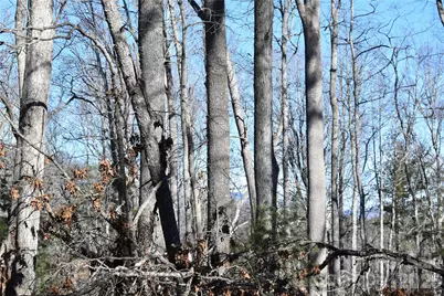 448 Sweetwater Road, Green Mountain, NC 28740 - Photo 16