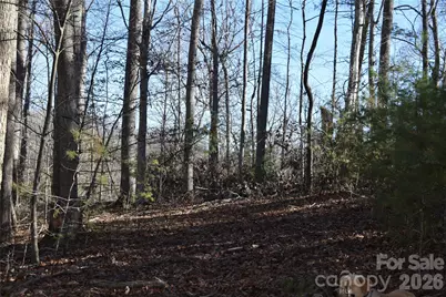448 Sweetwater Road, Green Mountain, NC 28740 - Photo 20