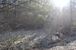 448 Sweetwater Rd, Green Mountain, NC 28740 - Photo 4