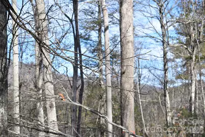 448 Sweetwater Road, Green Mountain, NC 28740 - Photo 28