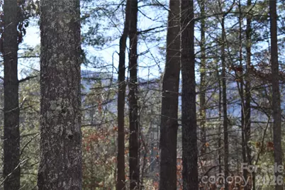 448 Sweetwater Road, Green Mountain, NC 28740 - Photo 18