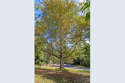 91 Haw Creek Circle, Asheville, NC 28805 - Photo 24