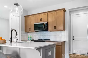 115 Chapel Xing Ln, Weaverville, NC 28787 - Photo 24