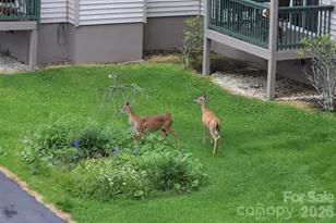 301 Pinnacle Inn Rd, Beech Mountain, NC 28604 - Photo 32