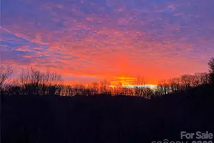 2778 Mule Stomp Rd, Hot Springs, NC 28721 - Photo 6