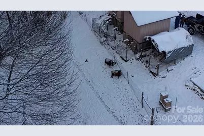 2778 Mule Stomp Road, Hot Springs, NC 28721 - Photo 46