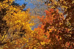 2778 Mule Stomp Rd, Hot Springs, NC 28721 - Photo 14