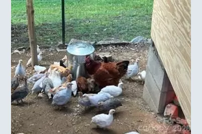 2778 Mule Stomp Road, Hot Springs, NC 28721 - Photo 32